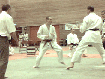 Steve Fighting